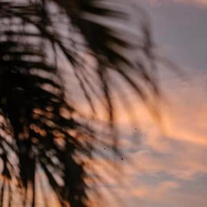 免费看裸体🔞🔞🔞网站菠萝
