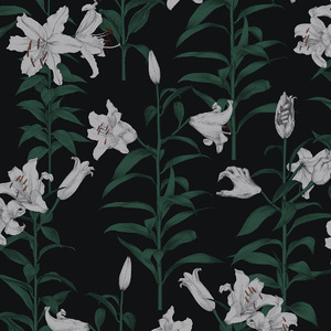 免费看裸体🔞🔞🔞网站菠萝
